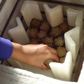 中学校での陶芸サポートボランティア 2(素焼編・サポート研究編) 「感謝の気持ちを“桜”にのせて―卒業生に贈る陶箸置きの制作―」の写真